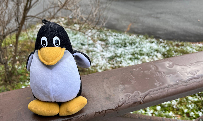 雪とLinuxのペンギン